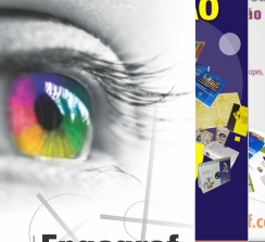 <span style="font-weight: bold;">PANFLETOS/FLYERS/FOLHETOS</span>